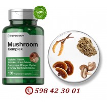 მუშრუმ კომპლექსი